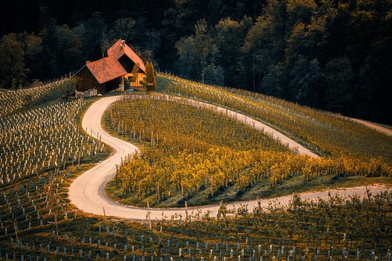 Adventure Landscape